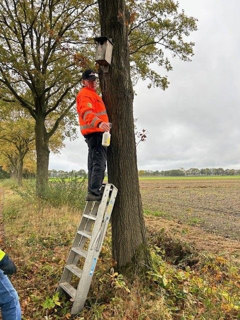 Schoonmaken mezenkastjes GIlde Sint Martinus Luyksgestel